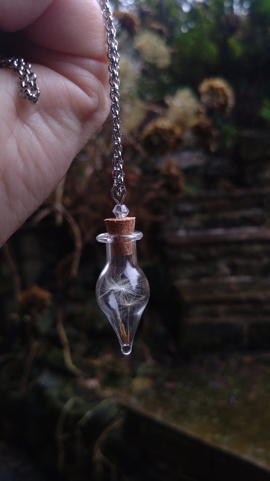 Glass vial necklace filled with dandelion seeds with a stainless steel 18 inch chain