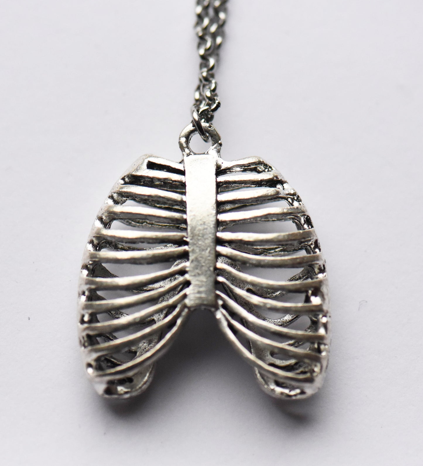 Ribcage necklace on a stainless steel 18 inch chain